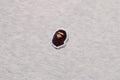 A BATHING APE ONE POINT FULL ZIP HOODIE