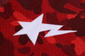 A BATHING APE COLOR CAMO WARM UP SS SHIRT