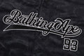 A BATHING APE CAMO STRIPE BASEBALL SHIRT