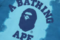 A BATHING APE BAPE KIDS GRADATION COLLEGE ZIP HOODIE - happyjagabee store