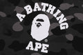 A BATHING APE COLOR CAMO COLLEGE PULLOVER HOODIE ONLINE EXCLUSIVE