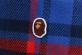 A BATHING APE BAPE CHECK BUCKET HAT
