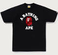A BATHING APE COLOR CAMO COLLEGE TEE