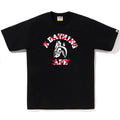 A BATHING APE TIGER SHARK JAPANESE LETTER TEE