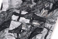 A BATHING APE TREE EDGE CAMO CARGO PANTS