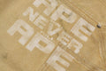 A BATHING APE FAKE PRINT RELAXED FIT SWEAT SHORTS