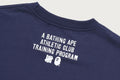 A BATHING APE BAPE x UNDEFEATED UNDFTD TEE