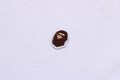 A BATHING APE Ladies' APE HEAD ONE POINT CROPPED TEE - happyjagabee store
