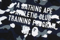 A BATHING APE BAPE x UNDEFEATED UNDFTD FULL ZIP HOODIE