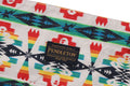 A BATHING APE BAPE x PENDLETON APRON