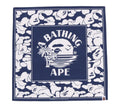 A BATHING APE BAPE SUMMER BAG ( Men's )