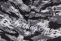 A BATHING APE PLAM TREE CAMO RELAXED FIT BEACH SHORTS