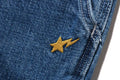 A BATHING APE PAINTER SHORTS