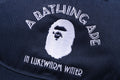 A BATHING APE A BATHING APE PANEL CAP 2