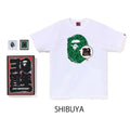 A BATHING APE BAPE STORE JAPAN LIMITED BAPE 30TH ANNIV. APE HEAD TEE SET w/ Pins & Magnet