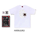 A BATHING APE BAPE STORE JAPAN LIMITED BAPE 30TH ANNIV. APE HEAD TEE SET w/ Pins & Magnet