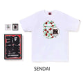 A BATHING APE BAPE STORE JAPAN LIMITED BAPE 30TH ANNIV. APE HEAD TEE SET w/ Pins & Magnet