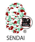 A BATHING APE BAPE STORE JAPAN LIMITED BAPE 30TH ANNIV. APE HEAD TEE SET w/ Pins & Magnet