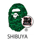 A BATHING APE BAPE STORE JAPAN LIMITED BAPE 30TH ANNIV. APE HEAD TEE SET w/ Pins & Magnet