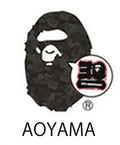 A BATHING APE BAPE STORE JAPAN LIMITED BAPE 30TH ANNIV. APE HEAD TEE SET w/ Pins & Magnet
