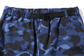 A BATHING APE COLOR CAMO MILITARY PANTS