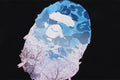 A BATHING APE SAKURA PHOTO APE HEAD TEE