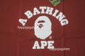 A BATHING APE COLLEGE HEAVY WEIGHT TEE