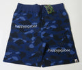 A BATHING APE COLOR CAMO SWEAT SHORTS ONLINE EXCLUSIVE