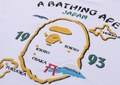 A BATHING APE JAPAN SOUVENIR TEE #2 (JAPAN LIMITED )